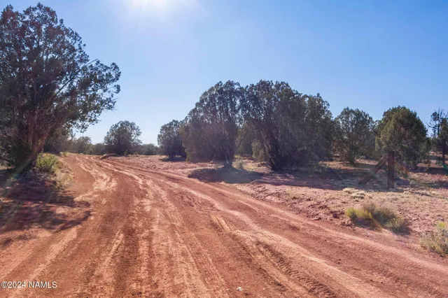 a view of snow on side of a road