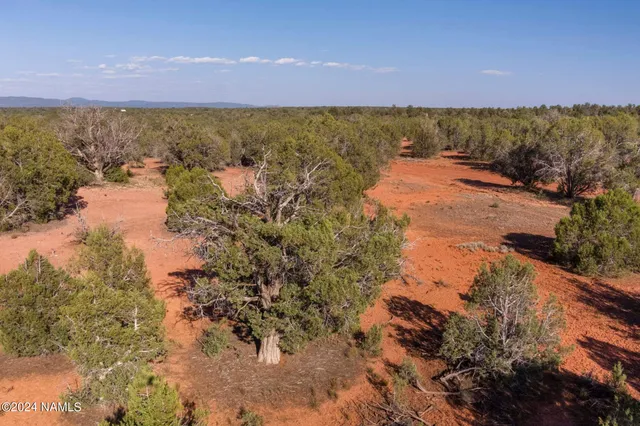 a view of a lake with a building in the background