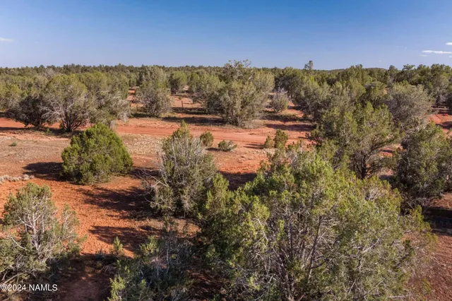 a view of a lake with a mountain in the background