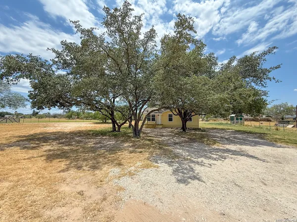 a view of a yard with a tree