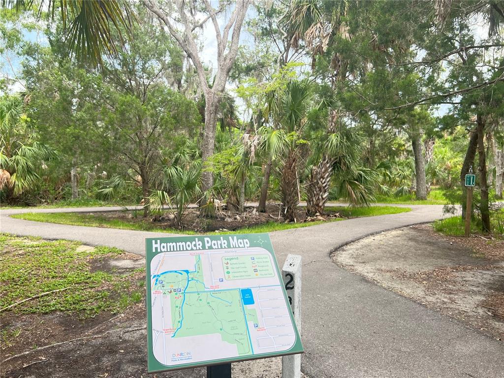2480 Del Rio Way Dunedin, FL 34698 - Photo 30 of 35 a view of a swimming pool with a patio
