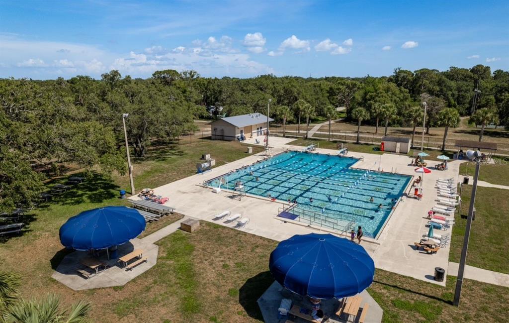 2480 Del Rio Way Dunedin, FL 34698 - Photo 34 of 35 a view of a chairs and table in the patio