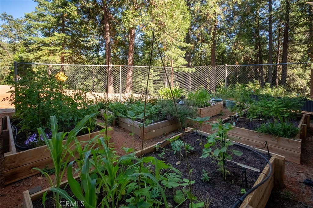 10647 Forbestown Road Forbestown, CA 95941 - Photo 52 of 74
