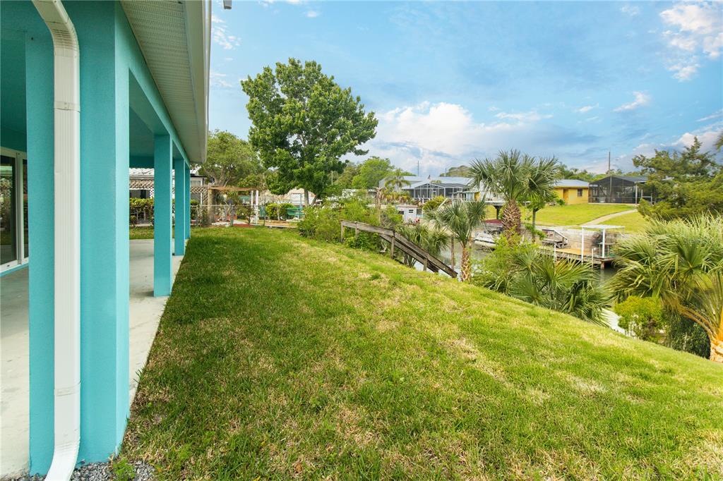 113 Douglas Street Edgewater, FL 32141 - Photo 31 of 39 a view of a yard with an trees