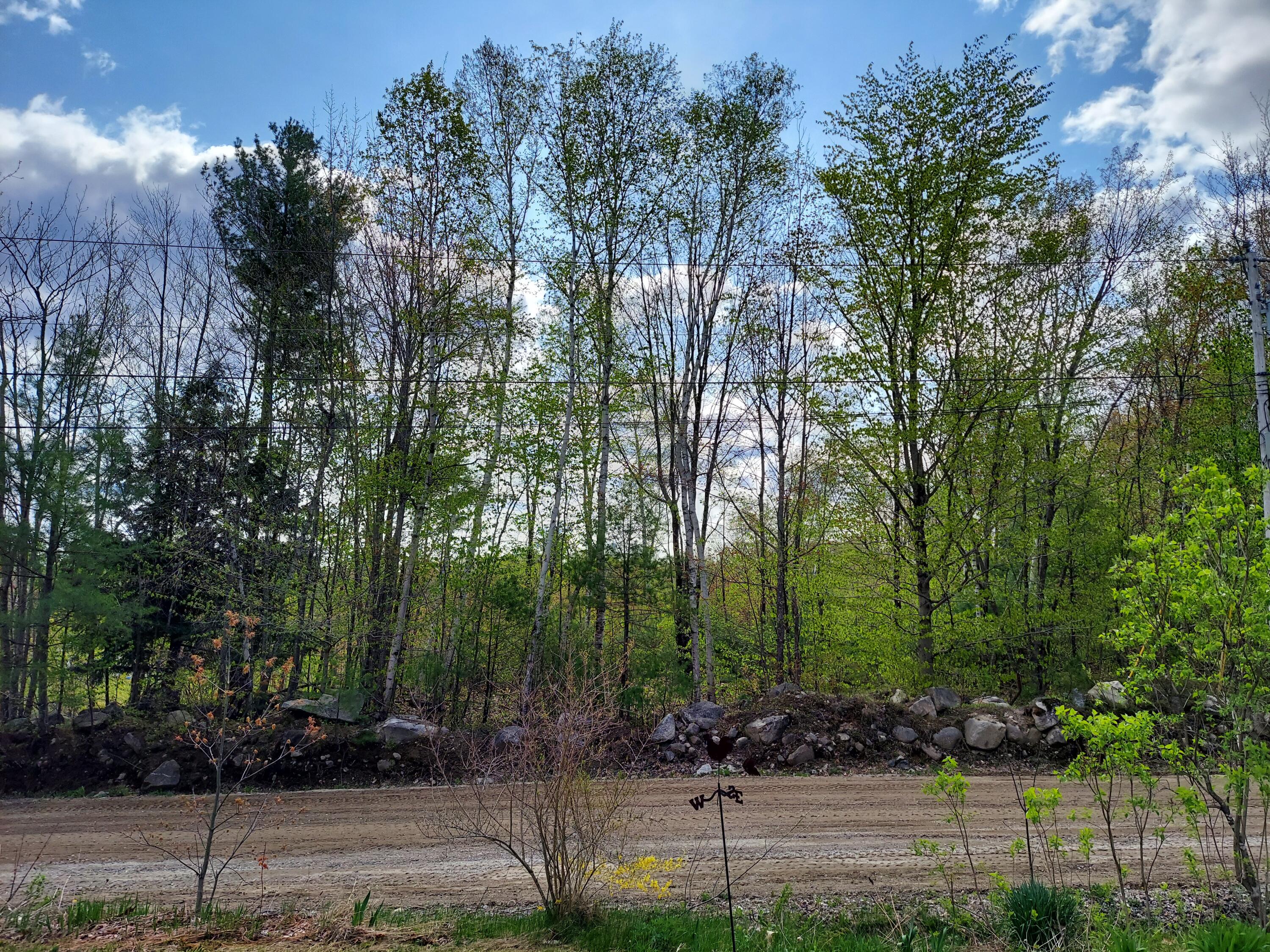0 South Town Farm Road Oxford, ME 04270 - Photo 4 of 5 DC1