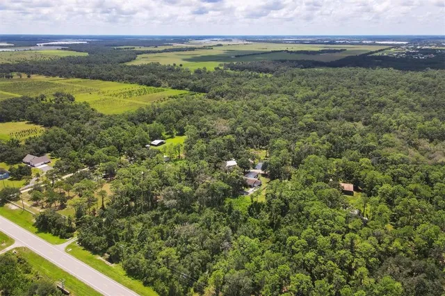 a view of a lake with a lush green forest