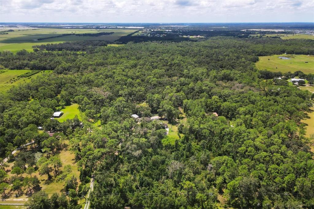18155 Highway 62 Parrish, FL 34219 - Photo 4 of 61 a view of a lush green forest with trees and some houses