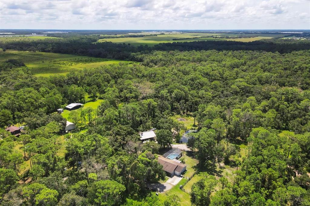 18155 Highway 62 Parrish, FL 34219 - Photo 5 of 61
