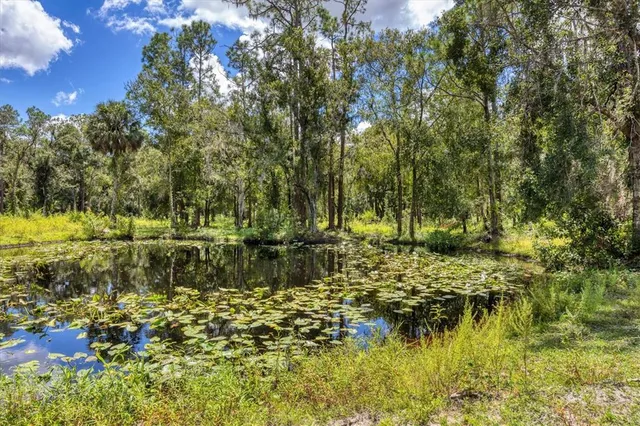 $1,000,000 | 18155 Highway 62, Parrish, FL 34219