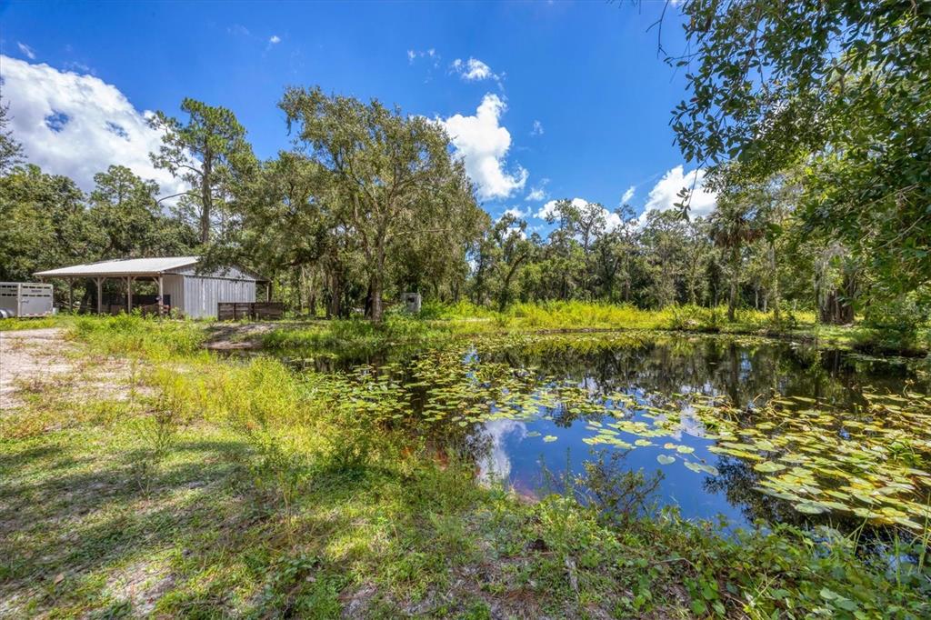 18155 Highway 62 Parrish, FL 34219 - Photo 54 of 61 a view of a lake with a house in the background