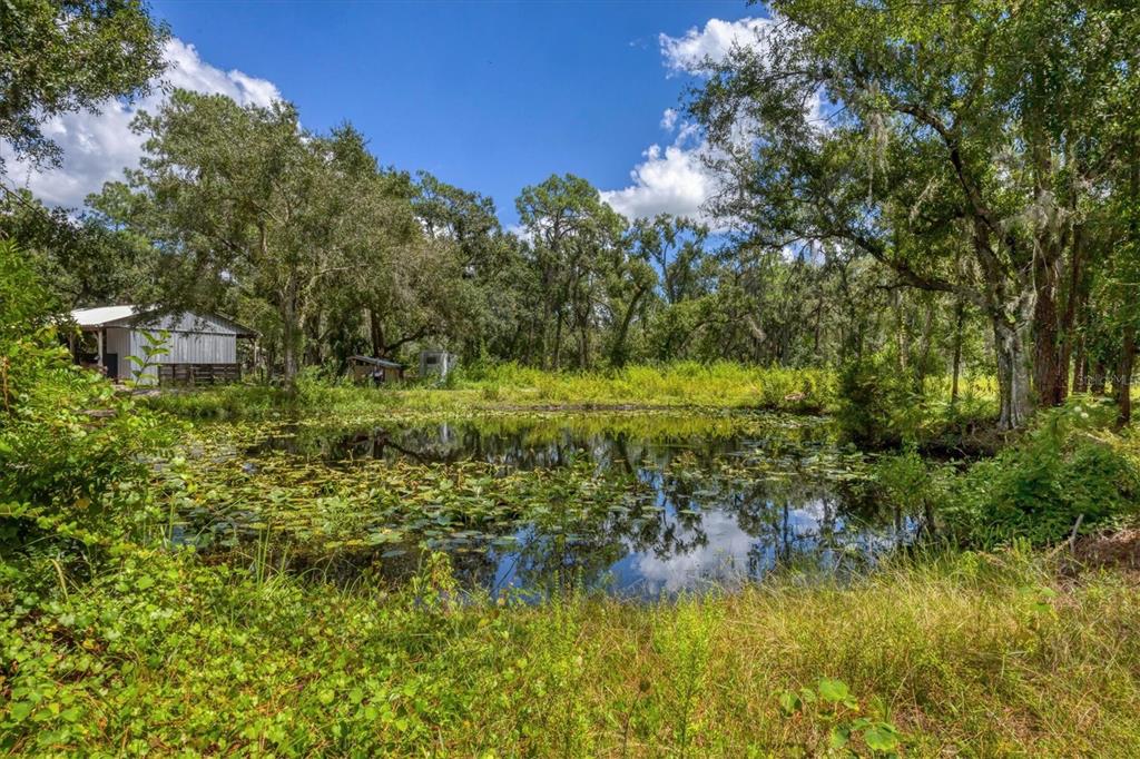 18155 Highway 62 Parrish, FL 34219 - Photo 55 of 61