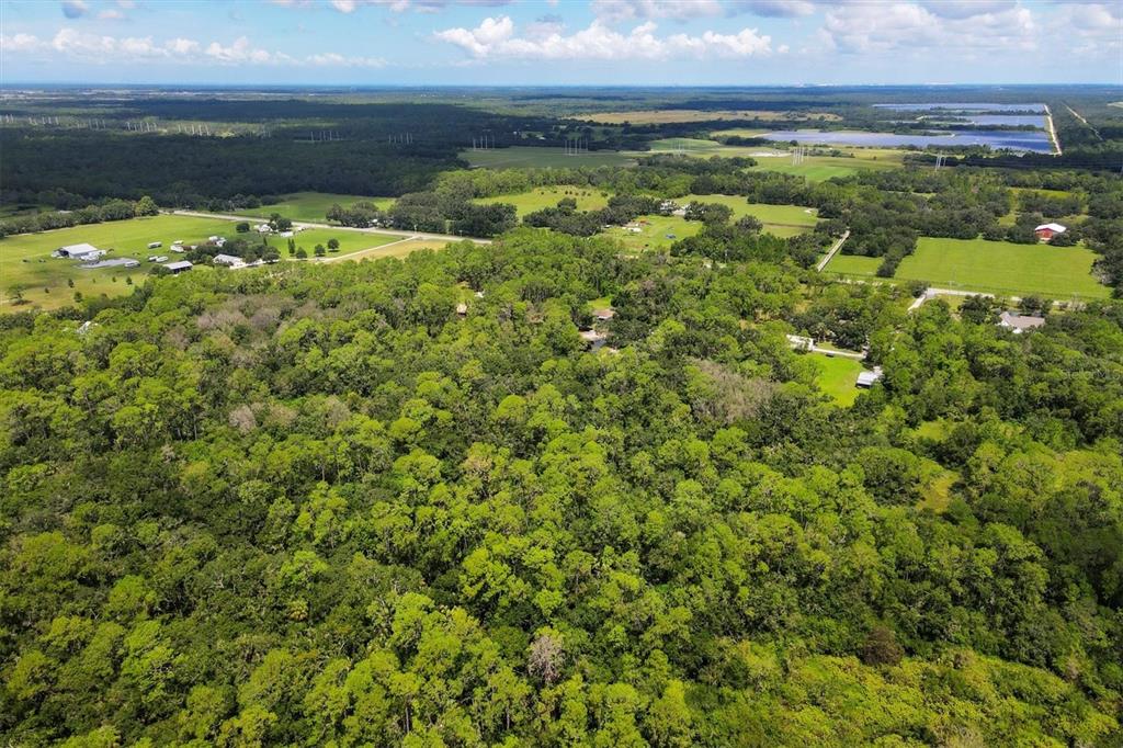 18155 Highway 62 Parrish, FL 34219 - Photo 57 of 61 a view of a water pond