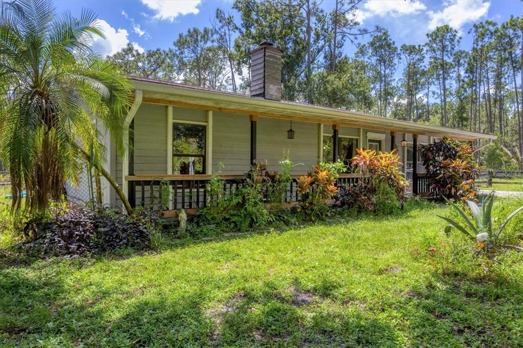 18155 Highway 62 Parrish, FL 34219 - Photo 7 of 61 a view of backyard with potted plants and a large tree