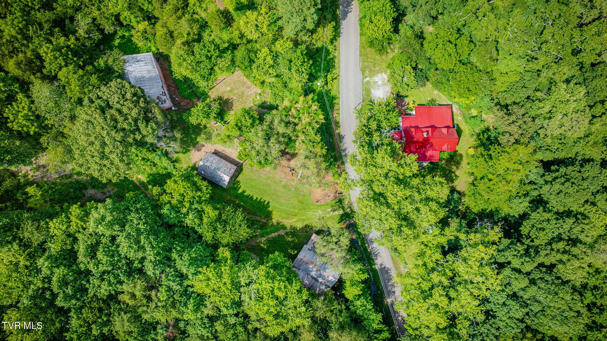 1355 Jackson Hollow Road Mosheim, TN 37818 - Photo 49 of 95 120