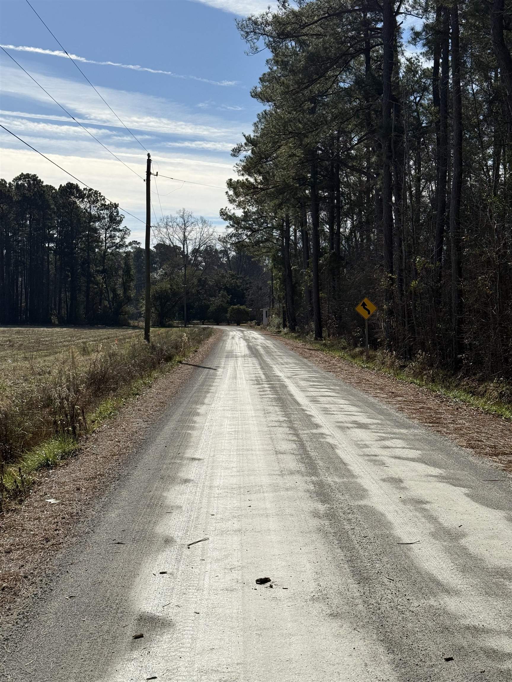 Lot 4 Johnson Shelly Road Conway, SC 29526 - Photo 10 of 10