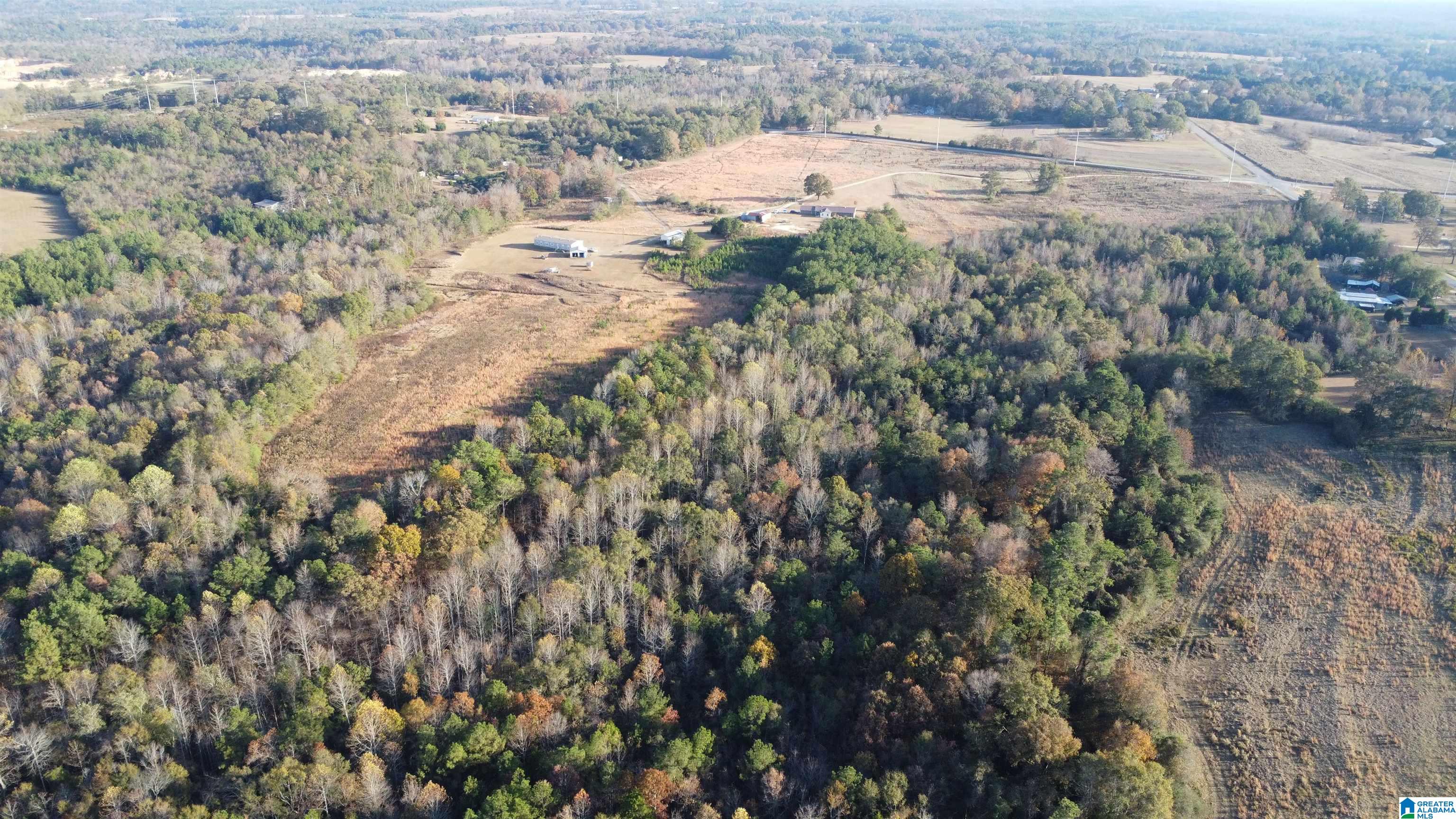 6951 County Road 24 Clanton, AL 35045 - Photo 11 of 13