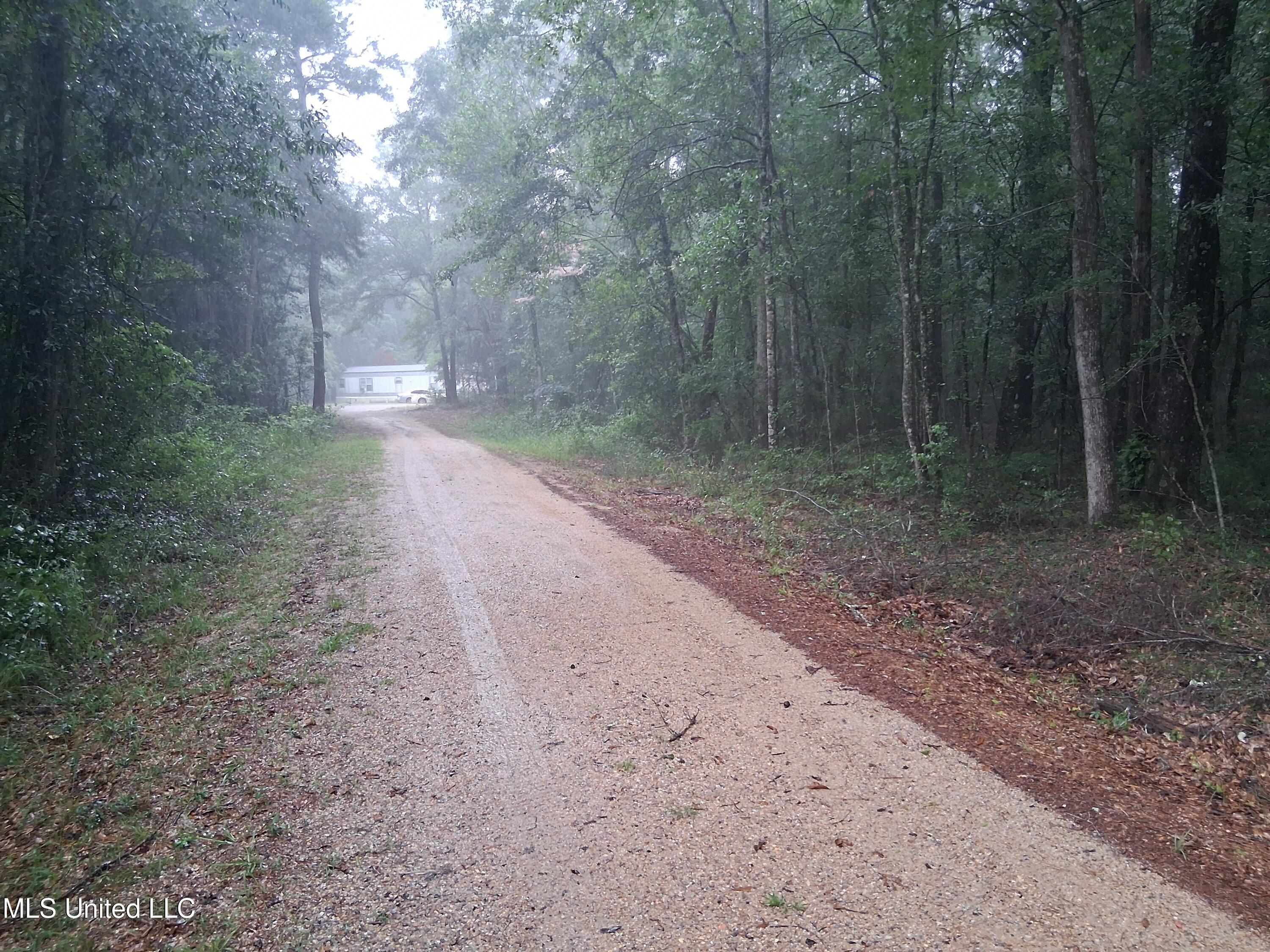 Us-45 Buckatunna, MS 39322 - Photo 6 of 8 20250616_140055