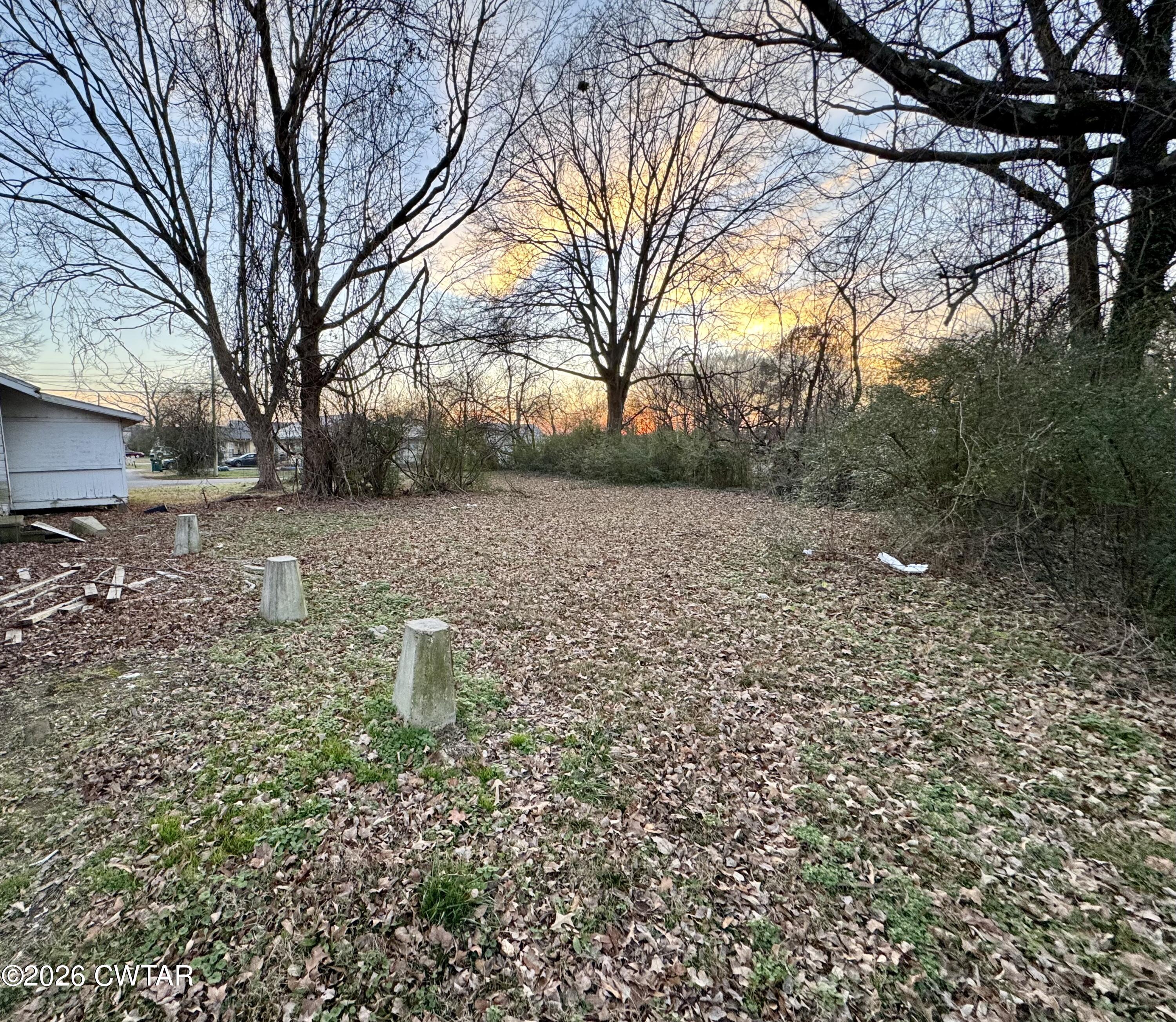 125 South Fairgrounds Street Jackson, TN 38301 - Photo 3 of 15 a view of a garden with trees