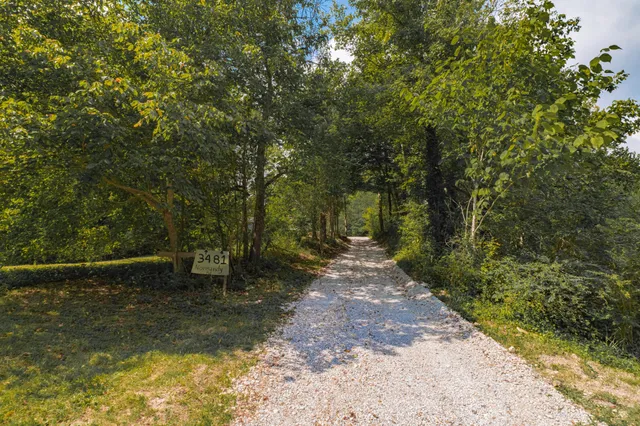 a view of a yard with trees