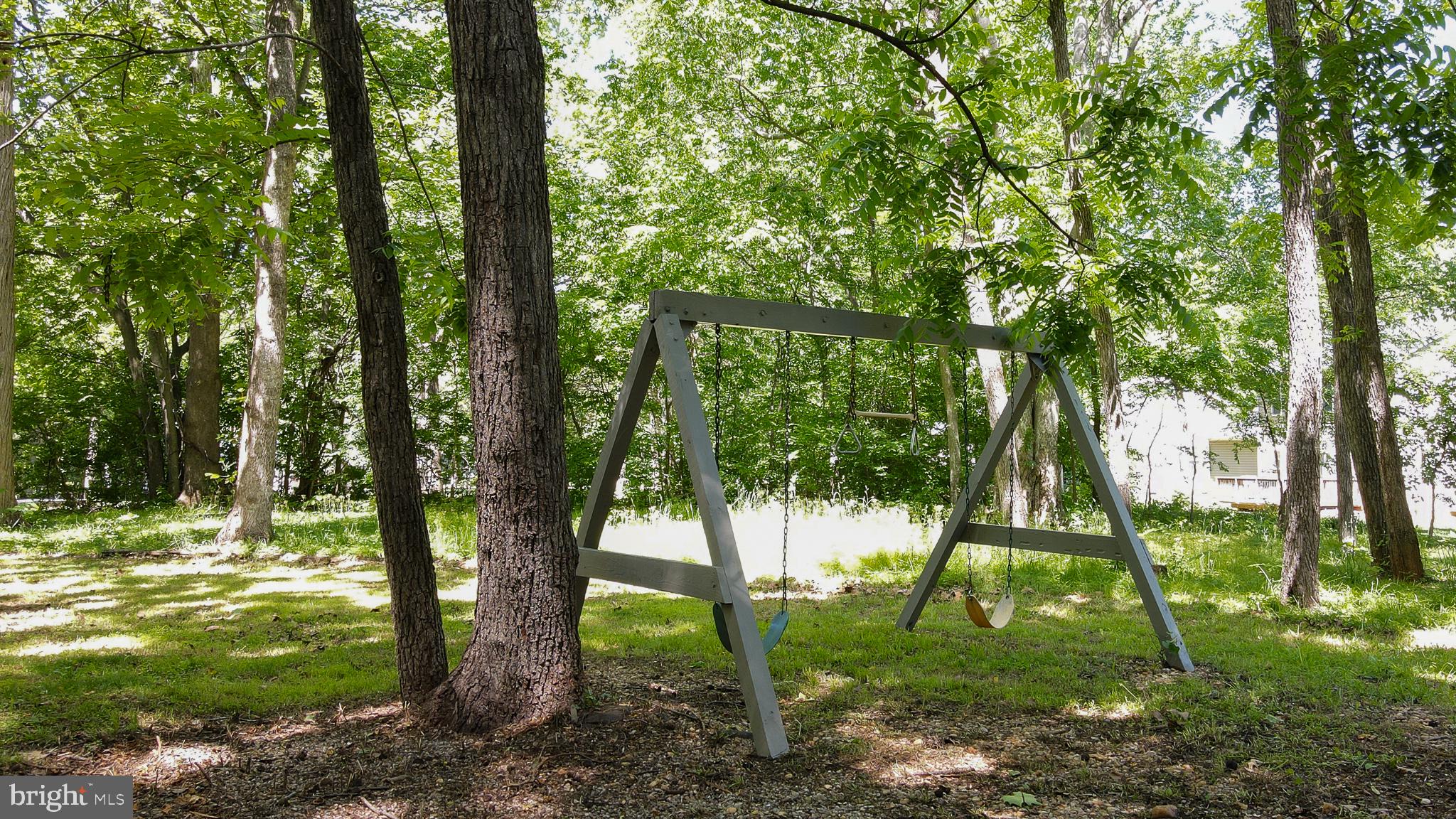 216 Spotswood Road Locust Grove, VA 22508 - Photo 40 of 65 Kids swing