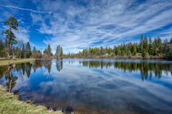 a view of a lake with a city