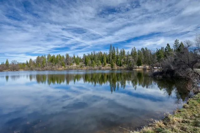 a view of a lake with a yard and trees