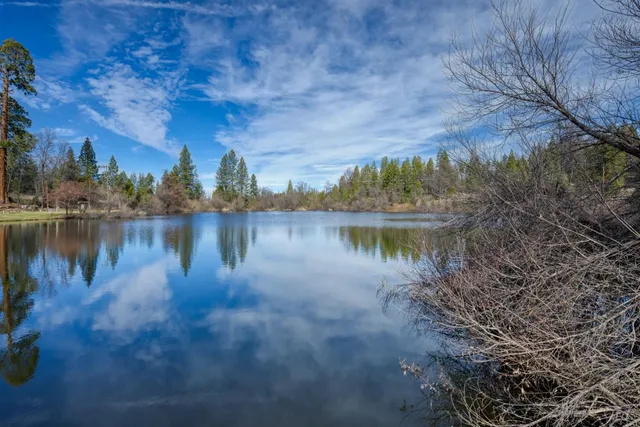 a view of a city with ocean view