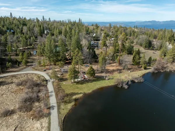 a view of a yard with trees