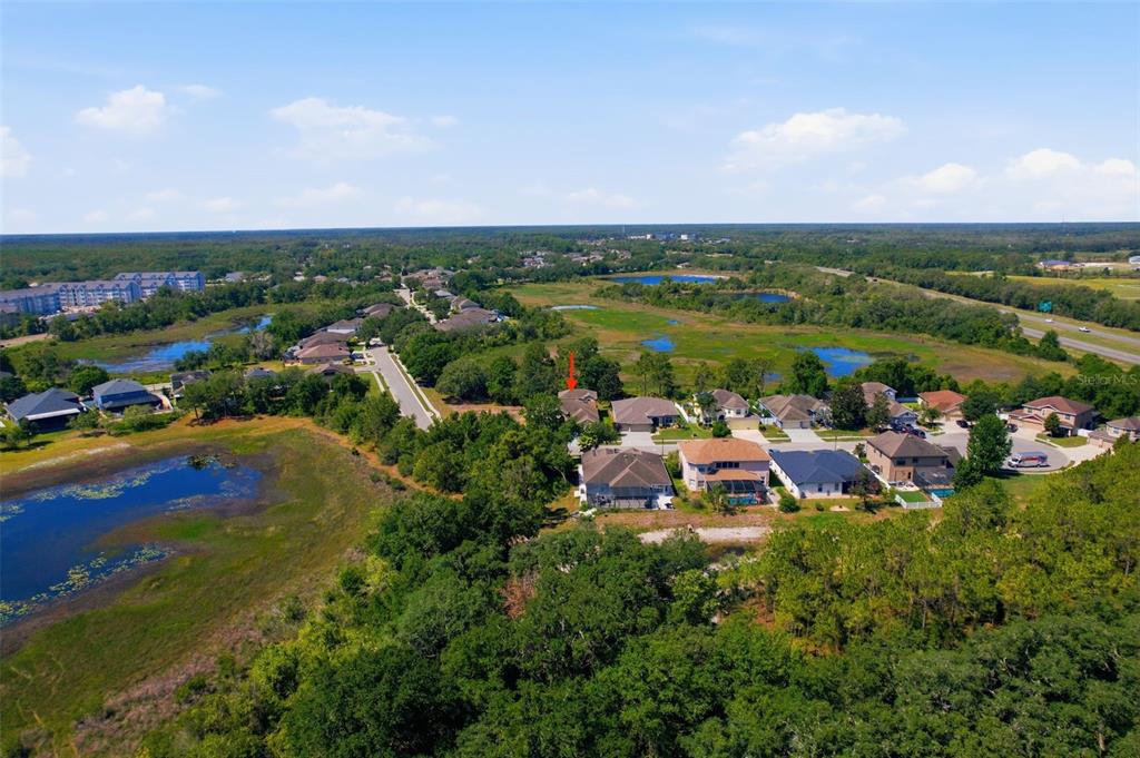 12903 Drakefield Drive Spring Hill, FL 34610 - Photo 52 of 60