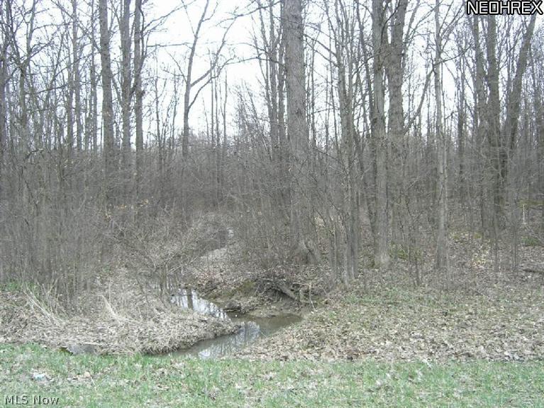Windsor-Mechanicsville Road Rome, OH 44085 - Photo 3 of 11