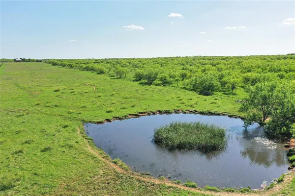 a view of a garden with an outdoor space