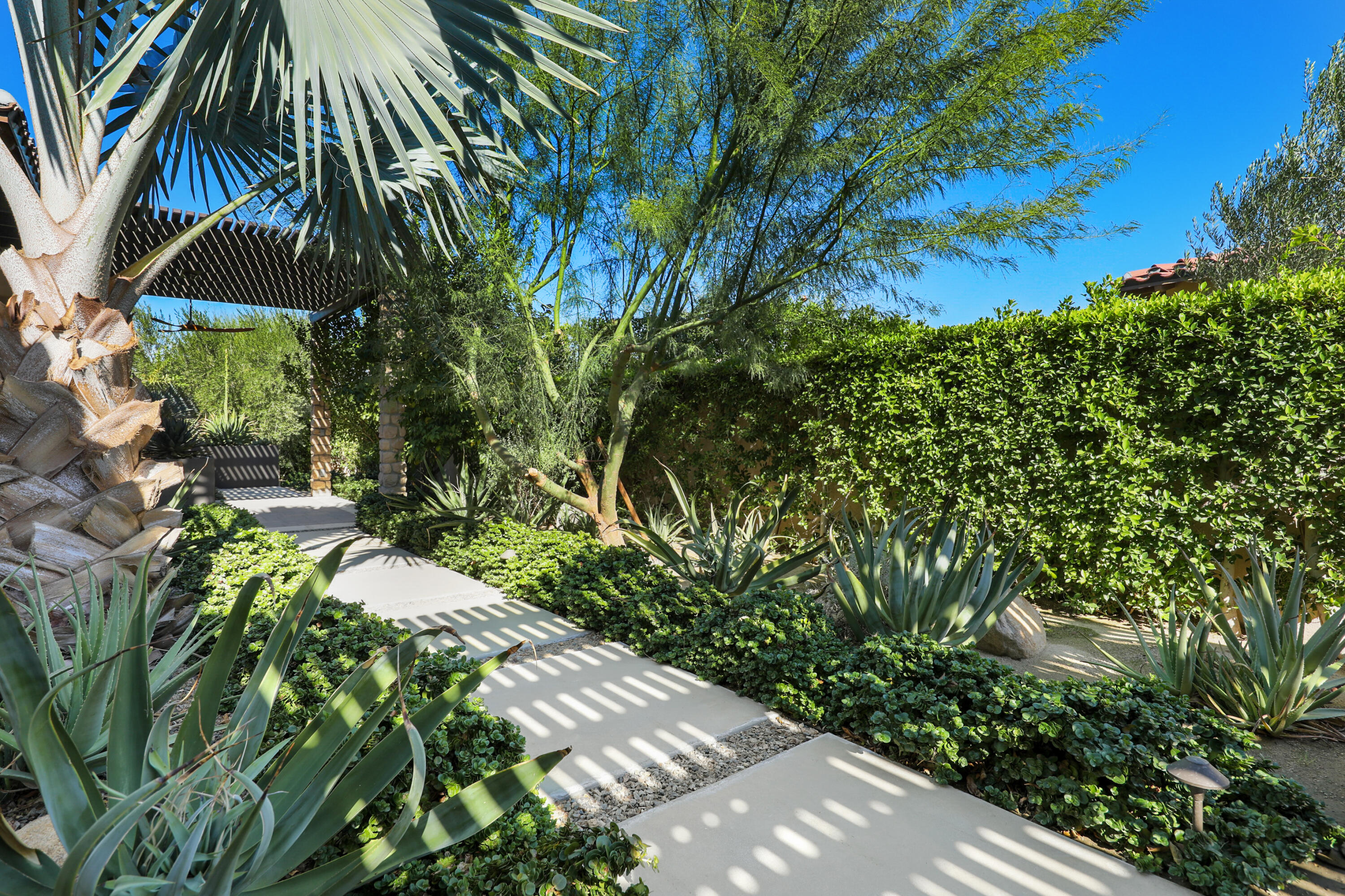 54820 Aristides Court La Quinta, CA 92253 - Photo 39 of 62 a plant that is in a garden