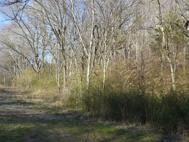 787 Mimosa Road Fayetteville, TN 37334 - Photo 6 of 18 Gallery Image 6