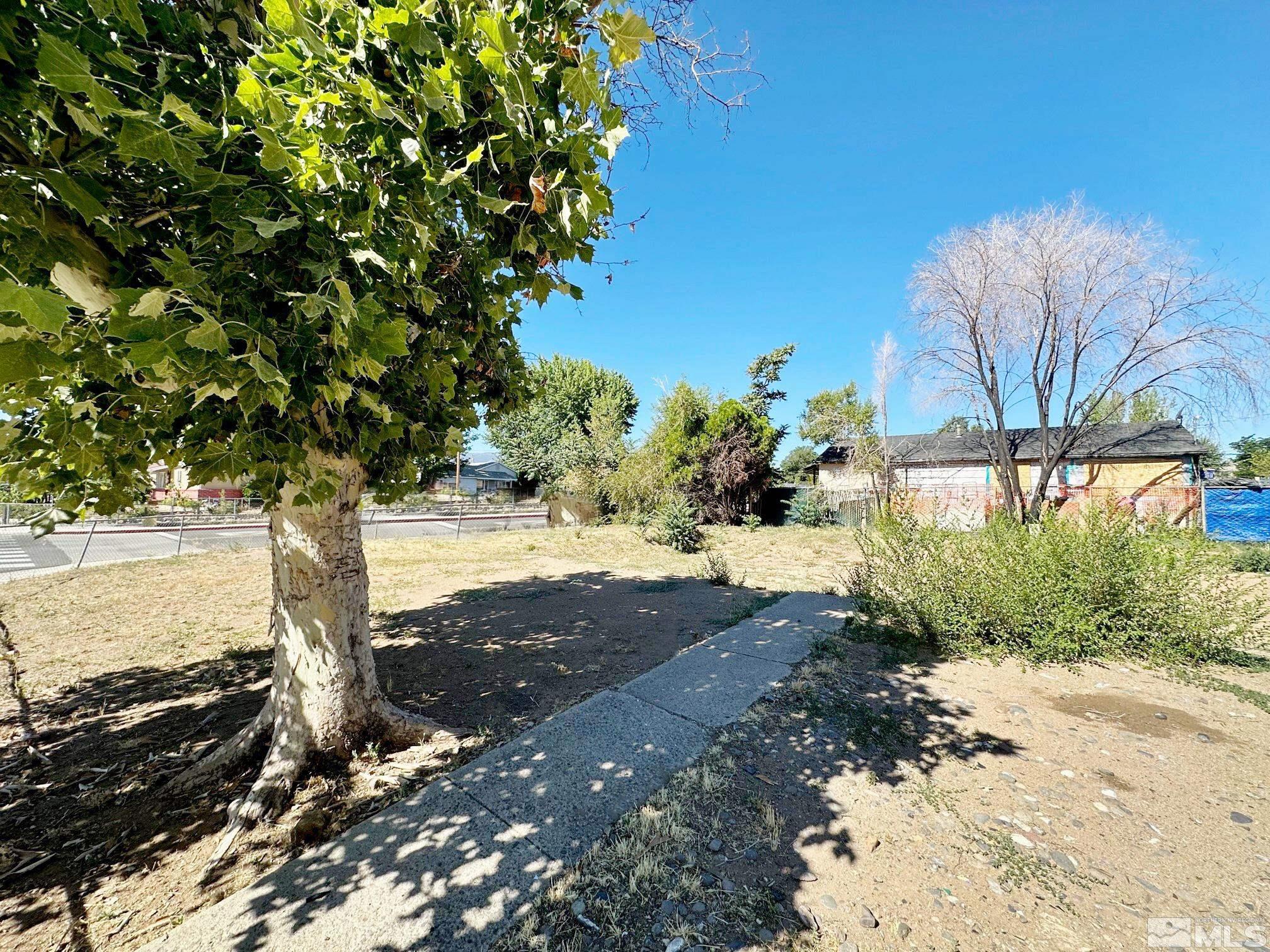 1501 Montello Street Reno, NV 89512 - Photo 1 of 21 a view of a yard with plants