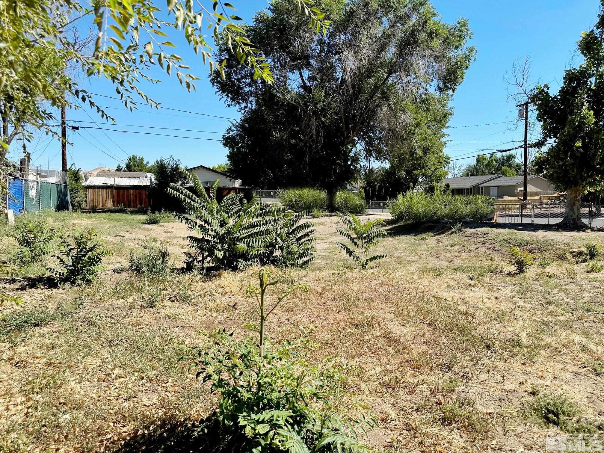 1501 Montello Street Reno, NV 89512 - Photo 21 of 21 a view of a yard with plants and trees