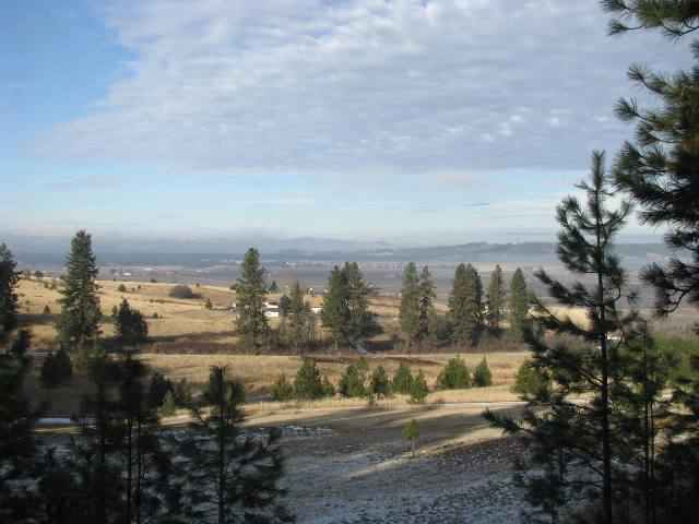 9420 East Doak Road Spokane, WA 99217 - Photo 9 of 9