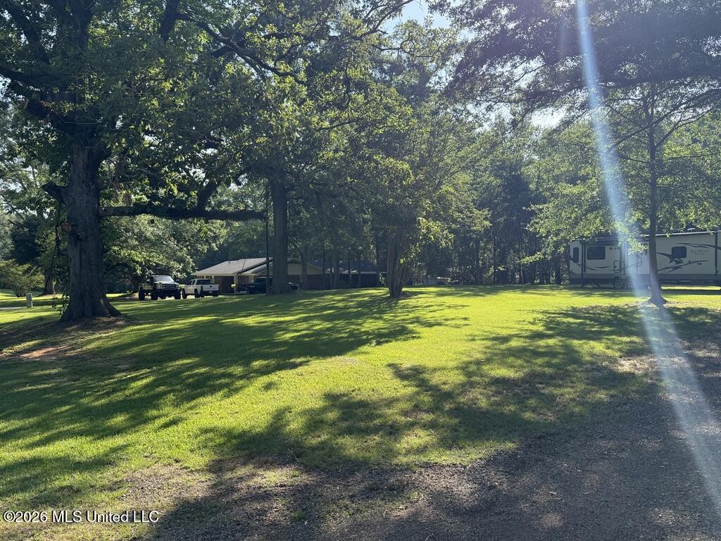 211 Highway 487 Carthage, MS 39051 - Photo 34 of 34 49CF96A1-3C2B-43FC-9C1C-4CA87FCB5D89_1_1