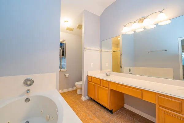a bathroom with a tub a sink and a large mirror