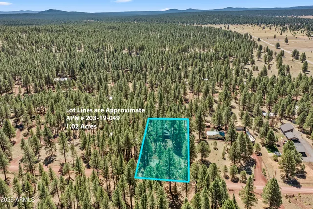 an aerial view of residential house with outdoor space and trees all around