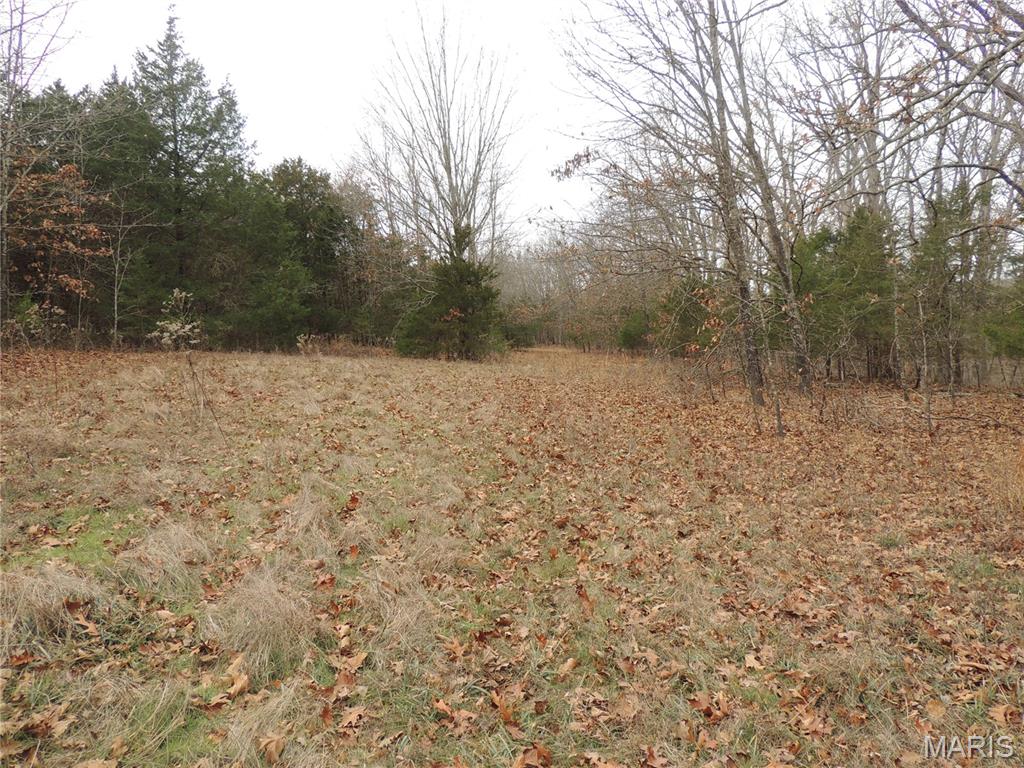 0 Diamond School Road Grubville, MO 63041 - Photo 11 of 58