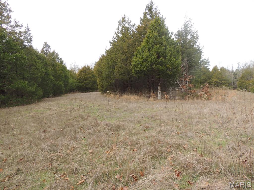 0 Diamond School Road Grubville, MO 63041 - Photo 12 of 58