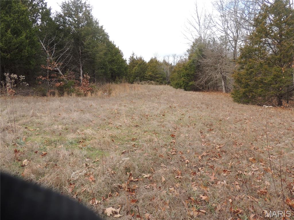 0 Diamond School Road Grubville, MO 63041 - Photo 13 of 58