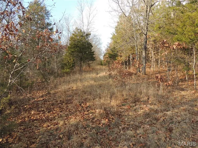 $674,000 | 0 Diamond School Road, Grubville, MO 63041