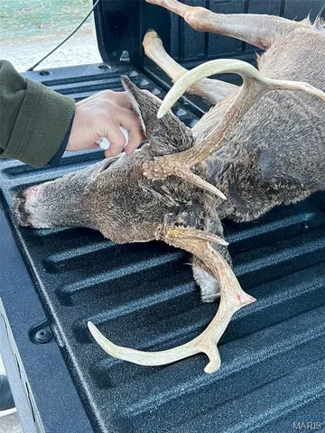 $674,000 | 0 Diamond School Road, Grubville, MO 63041