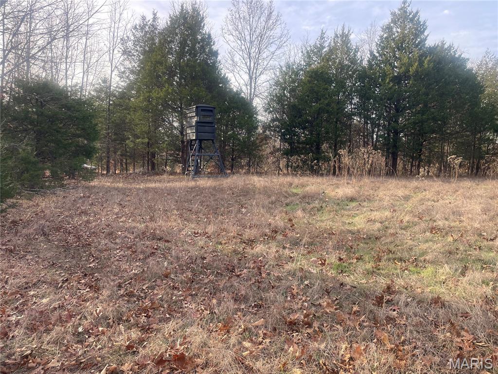 0 Diamond School Road Grubville, MO 63041 - Photo 16 of 58