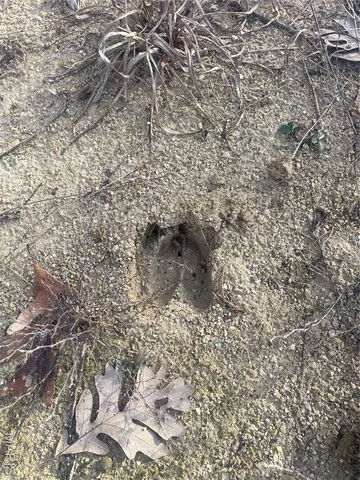 $674,000 | 0 Diamond School Road, Grubville, MO 63041