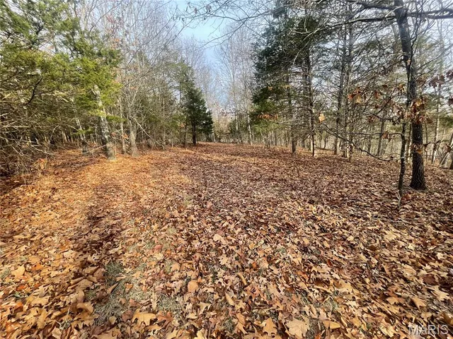 $674,000 | 0 Diamond School Road, Grubville, MO 63041