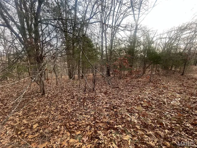 $674,000 | 0 Diamond School Road, Grubville, MO 63041