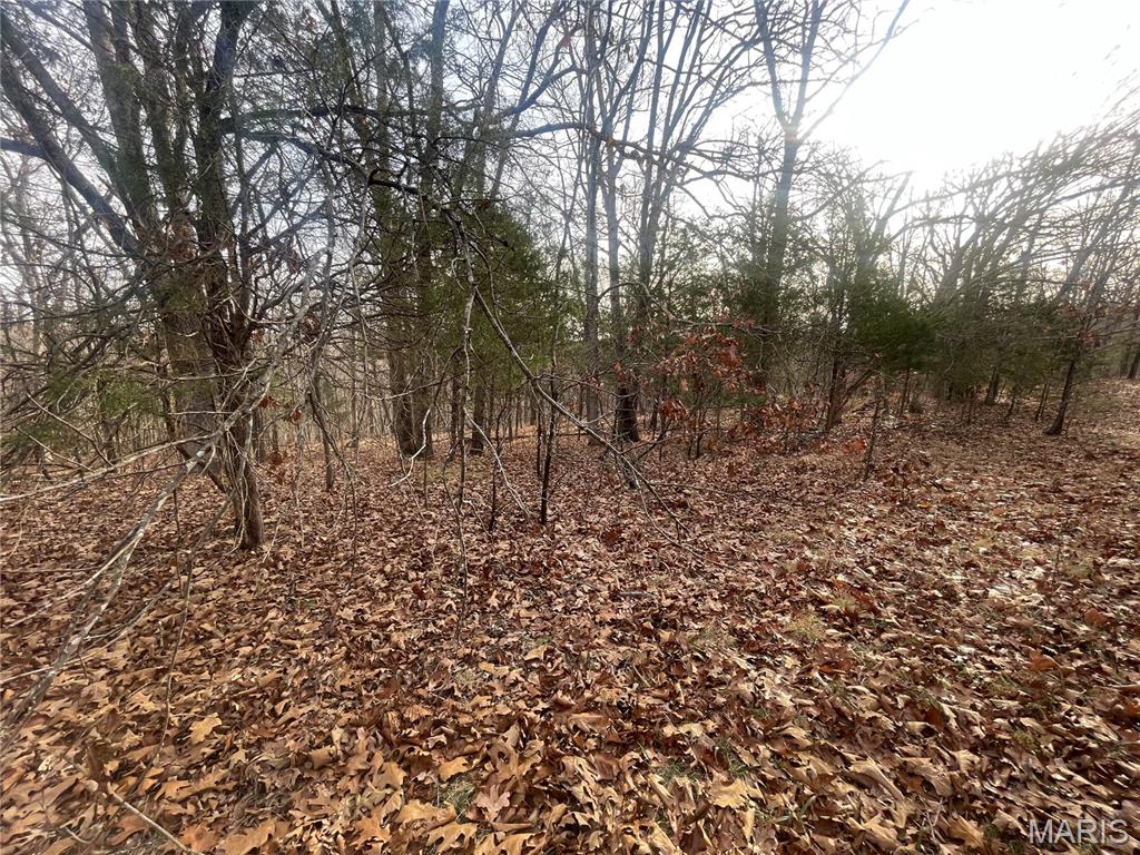 0 Diamond School Road Grubville, MO 63041 - Photo 19 of 58