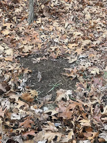 $674,000 | 0 Diamond School Road, Grubville, MO 63041